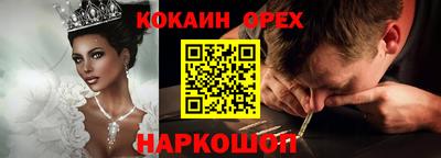 гидра Моздок