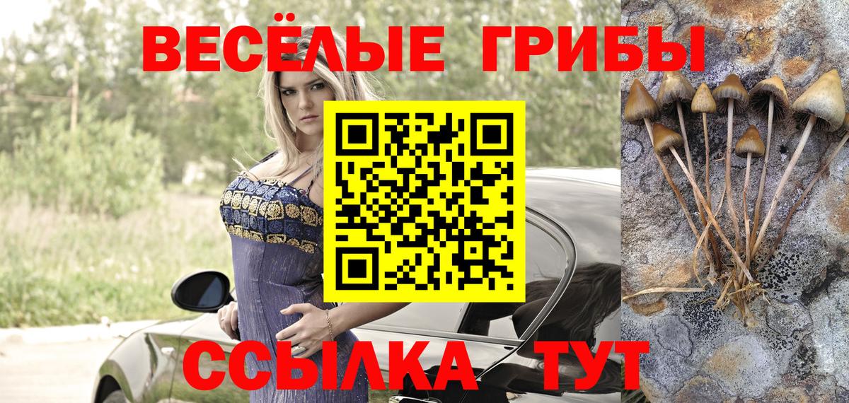Узловая  Галлюциногенные грибы Cubensis  Вход с VPN 